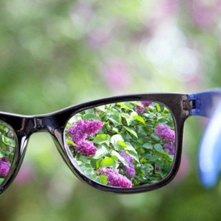 Логотип @prirodavfokuse - Природа в фокусе