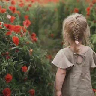 Логотип @pritchi_mir - Кладезь знаний