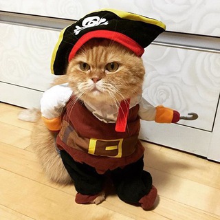 Логотип @priton_webmastera - Притон Вебмастера