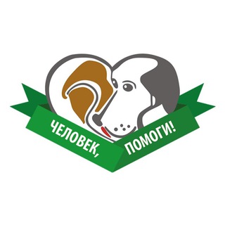 Логотип @priut_help_chat - priut_help Комментарии