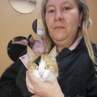 Логотип @priutlapkii - МОХНАТЫЕ ЛАПКИ ПРИЮТ🐱🐱