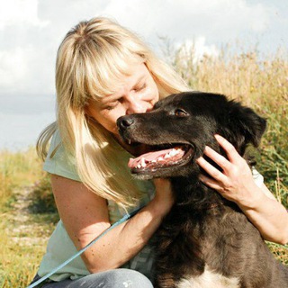 Логотип @priuttimoshka - Приют «Тимошка»