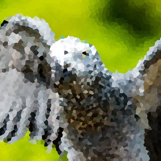 Логотип @privatejaco - PrivateJaco