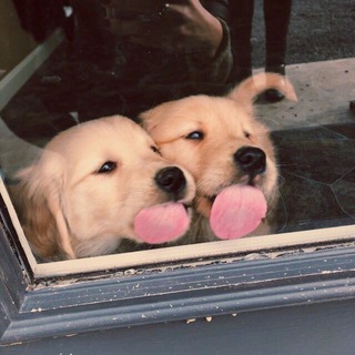 Логотип @privetbeauty - privet.beauty