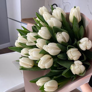 Логотип @privetizdekreta - Байер Алина 🇮🇹