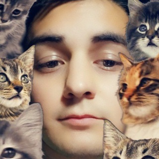 Логотип @priyatniianton - Приятный Антон