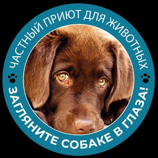 Логотип @priyut_chekhov - priyut_chekhov