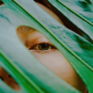 Логотип @prjctrcomments - Prjctr comments