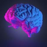 Прокачка мозга