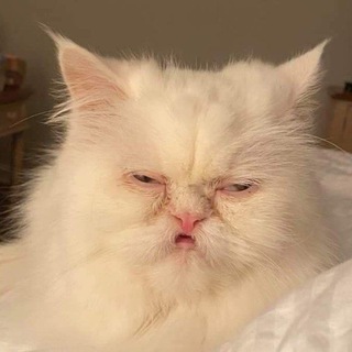 Логотип @pro100_daniil_sculpts - pro100_Daniil SCULPTS