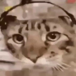 Логотип @pro100ma1vey - Матвейка.