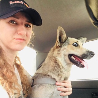 Логотип @pro_animals_32 - Pro_animals_32