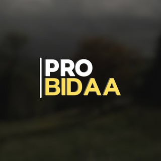 Логотип @pro_bidaa - 𝐏𝐑𝐎.𝐁𝐈𝐃𝐀𝐀