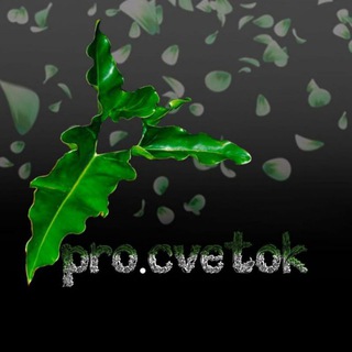 Логотип @pro_cvetok - Pro.cvetok