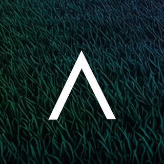 Логотип @pro_digma - DIGMA PRO