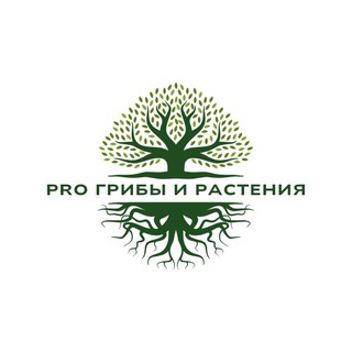 Логотип @pro_griby_rastenia - Pro Грибы и Растения