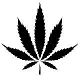 Логотип @pro_paganda - pro_paganda