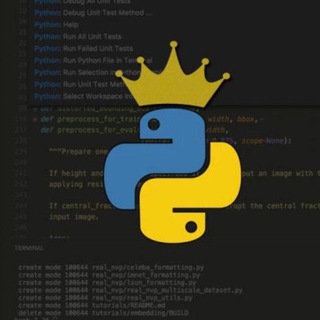 Логотип @pro_python_code - Python RU