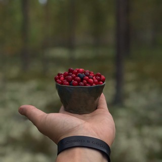 Логотип @pro_sever - Север в сердце | северная кухня