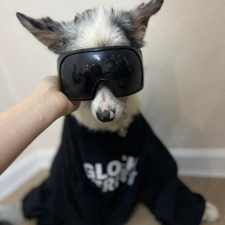 Логотип @pro_souznay - Заключенные на Профсоюзной🐆