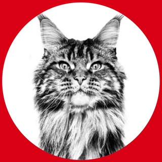 Логотип @pro_tex_kogo_priruchili - Про тех, кого приручили