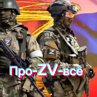 Логотип @pro_v_se - Про-ZV-всё