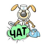 Логотип @pro_veterinar11 - Ветеринарщина💬поговорим