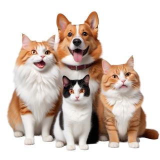 Логотип @pro_xvoct - ПроХвост | Кот и пёс