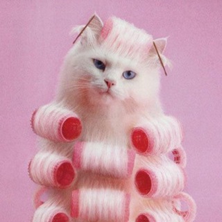 Логотип @probeautybanki - Крути бигуди