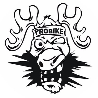 Логотип @probiketeam - ProBike ЧАТ ЗАКРЫТ