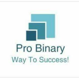 Логотип @probinarychat - ProBinary Group Chat!