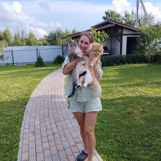 Логотип @probki_na_dachu - Сквозь пробки на Дачу