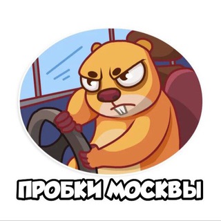 Логотип @probkimsk - Пробки Москвы