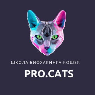 Логотип @procats_school - PRO.CATS | Школа биохакинга кошек