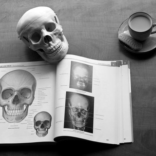 Логотип @procked - p.ROCKED