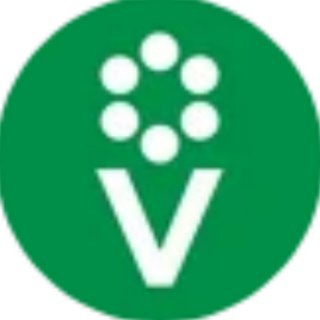Логотип @procvetokk - Procvetok