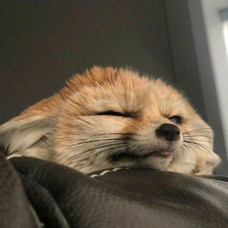 Логотип @prodaja_f - Продажа аккаунтов