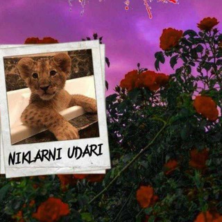 Логотип @prodaja_madreymoff - 📸