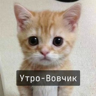 Логотип @prodajjaa - 2tpq shop