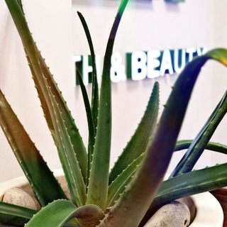 Логотип @productylr - ПРОДУКЦИЯ LR!☘️