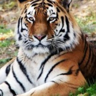 Логотип @prodvpravda - Продвижение правды