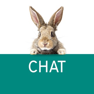 Логотип @proexpert_chat - Pro.Expert Chat - Vaillant, Protherm, VGR