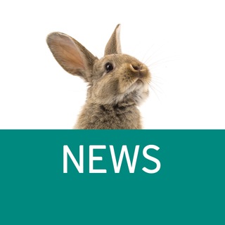 Логотип @proexpert_news - Pro.Expert NEWs - Vaillant, Protherm, VGR