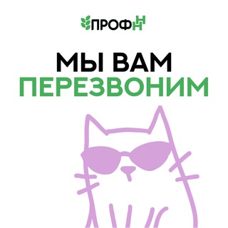 Логотип @prof_hh_callback - Мы вам перезвоним