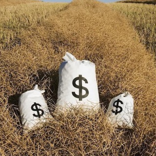 Логотип @profcyb - ПОЛЕ ЧУДЕС