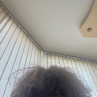 Логотип @profeatrol - valdis