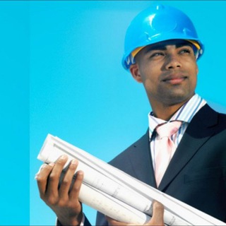Логотип @professionalsng - PROFESSIONALS (NIGERIA)