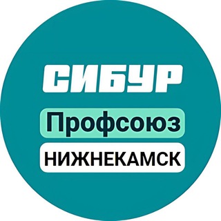 Логотип @profkomnknh - Профсоюз Нижнекамскнефтехим