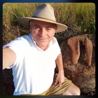 Логотип @profstongechatt - Michael Tellinger Channel