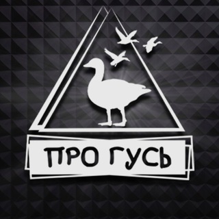 Логотип @progoose - Охота на гуся с ПроГусь
